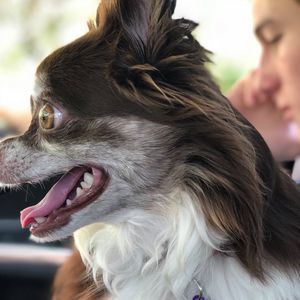 Meet your Posher, Lindsey